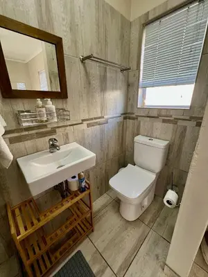 a bathroom with a toilet and a sink and a mirror at Private Garden Flat Blouberg Beach in Cape Town