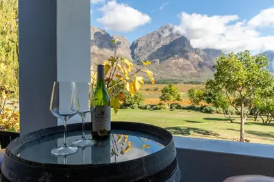 a bottle of wine and two wine glasses on a table at Grietjiesdrif- Mountain Retreat in Rawsonville
