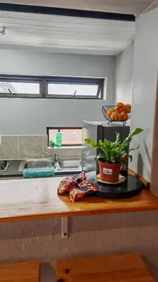 a kitchen with a counter with a plant on it at Sunbird Studio Apartment in Brackenfell