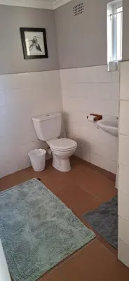 a bathroom with a toilet and a sink and a rug at Firehouse selfcatering Garden Cottages no 5 in Wellington