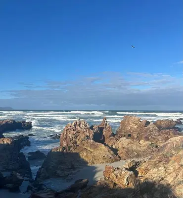 a view of the ocean from a rocky beach at Suite Vos in Hermanus