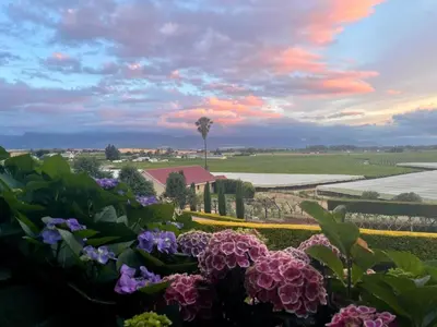 a view from a garden with flowers in the foreground at Belle Vallee Guestroom 1 in Wellington