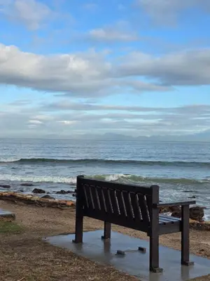 a bench sitting on the beach looking at the ocean at 118 on the Bay in Gordonʼs Bay