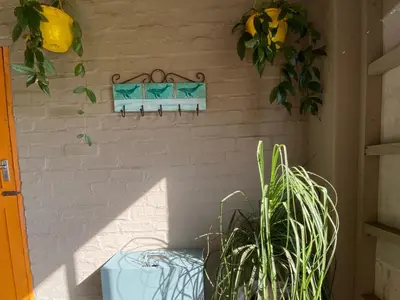 a white brick wall with two windows and plants at Pik 'n Wyntjie in Bettyʼs Bay