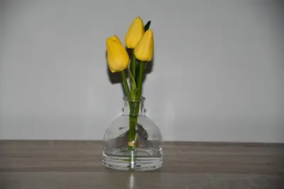 a glass vase with three yellow flowers in it at Avon Sand in Cape Town