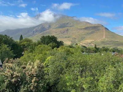 a mountain in the distance with trees in the foreground at Stellenbosch Rozendal Apartment in Stellenbosch