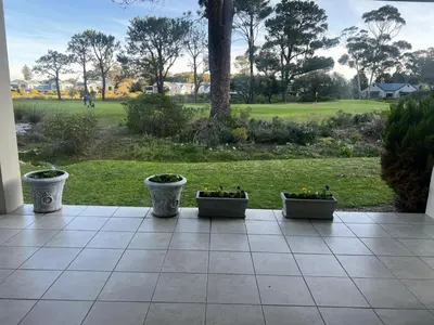three potted plants on a patio with a view of a park at Golfers paradise on 25th green in Hermanus