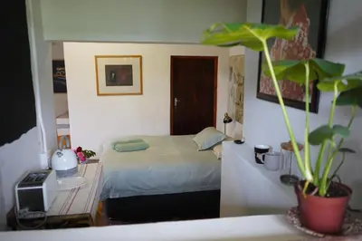a bedroom with a bed and a potted plant at The Little Gallery in Villiersdorp