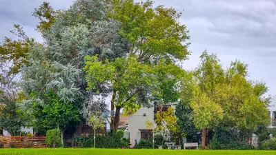 a white house with trees in a yard at Rivers Edge Loft in Wellington