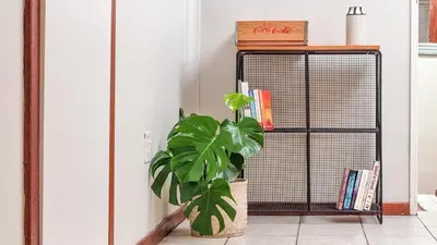 a plant sitting on a floor next to a shelf at Rivers Edge Loft in Wellington