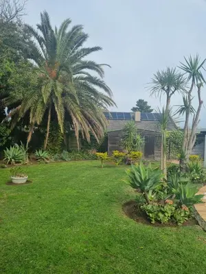 a yard with palm trees and green grass at Somerset West Stay 2 in Somerset West