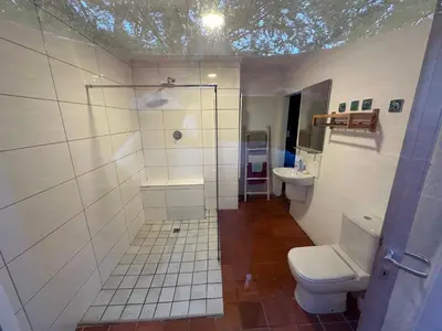 a bathroom with a shower and a toilet and a sink at 3 Uitsig Street, Rozendal, Stellenbosch in Stellenbosch