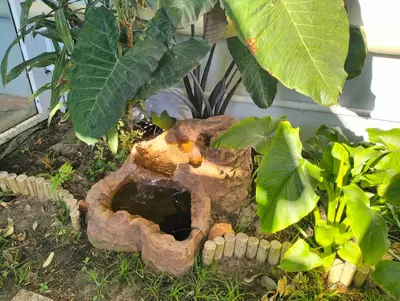 a garden with a tree stump in the grass at Garden es Cape in Pringle Bay