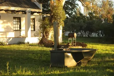 a bath tub sitting in the grass in front of a house at Calais Wine Estate in Paarl