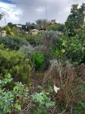 a garden filled with lots of plants and flowers at 2 on Fifth Avenue in Botrivier