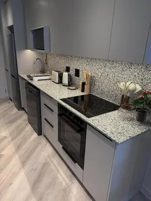 a kitchen with a counter top with a stove at Platform 132 - 2 On Tabak with onsite Parking in Paarl