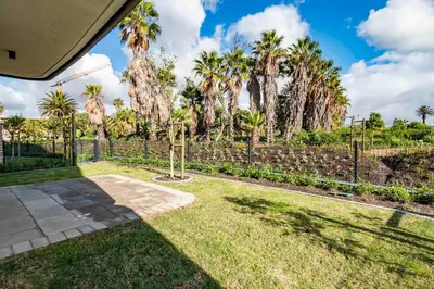 a backyard with palm trees and a fence at Century City Natures Treat in Cape Town
