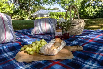 a picnic with a bottle of wine and grapes on a blanket at Escape to Hermanus Spacious Family Home in Hermanus