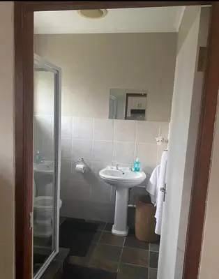 a bathroom with a sink and a toilet at Sir Garnet Inn in Wolseley