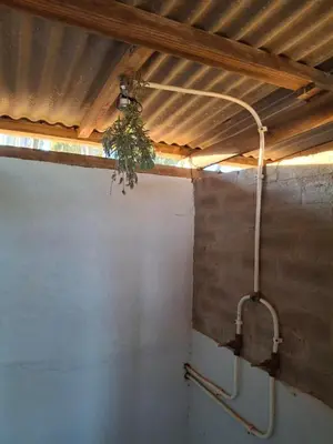 a plant hanging from the ceiling of a bathroom at Blouporselein guestfarm cabin in Hermon