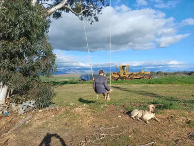 a man and two dogs in a field with a tractor at Blouporselein guestfarm cabin in Hermon