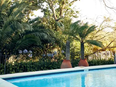 two palm trees are next to a swimming pool at The Neighbours Farm - Homestead in Stellenbosch