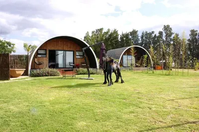 a horse standing in a yard next to a building at La Vita Romantic Getaway Cabin in Wellington