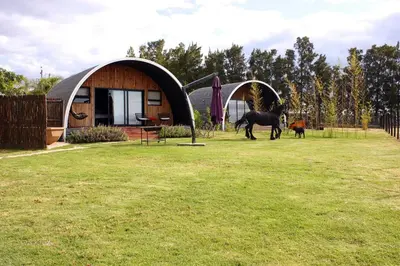 a horse standing in a yard next to a building at La Vita Romantic Getaway Cabin in Wellington