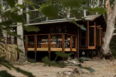 a house in the woods with a tree at Glen Oakes Farm Stay in Hartebeest Rivier