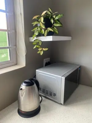 a microwave and a toaster and a plant on a counter at The Perfect Spot in Welgelegen