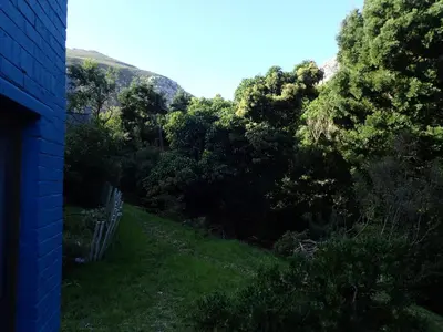 a view of a yard with trees and a bench at Yellowwood Place in Bettyʼs Bay