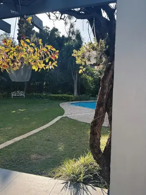 a view of a yard with a swimming pool at Pool & Garden Winelands Retreat in Stellenbosch