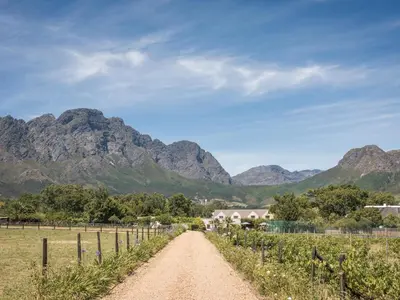 a dirt road in a field with mountains in the background at La Jolie Dauphine Guest House in Franschhoek