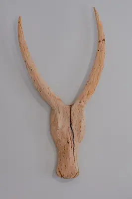 a piece of driftwood with antlers hanging on a wall at Belle Apartment in Hermanus