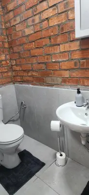 a bathroom with a toilet and a sink at LyonsDen 2 in Worcester
