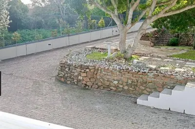 a stone wall with a tree on top of it at Studio at Providence in Hermanus