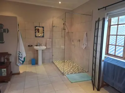 a bathroom with a shower and a sink at Apple Pie Self-catering in Hermanus