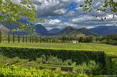 a view of a vineyard with mountains in the background at Lily Pond House at Le Lude in Franschhoek