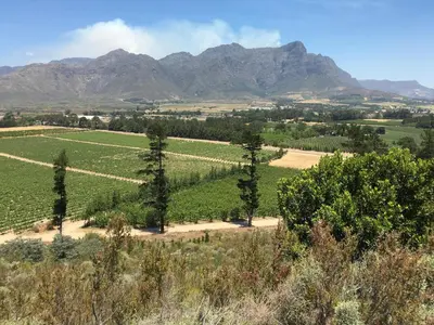 a field with trees and mountains in the background at Topiary Wine Estate & Cottages in Franschhoek