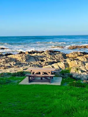 a picnic table sitting on the grass near the ocean at Pitkindie Oceanfront Escape in Hermanus