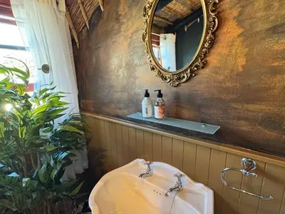 a bathroom with a sink and a mirror at Leopard Lodge in Hermanus