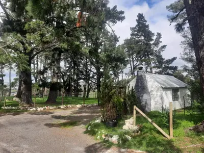 an old stone house in the middle of trees at Stone Cottage in Grabouw