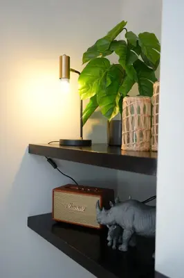 a shelf with a cat and a book and a plant at Modern Family Golf Lodge in Winelands Paradise in Paarl