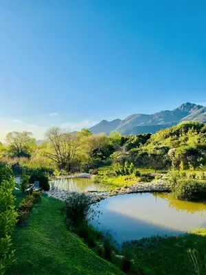 a pond in a field with mountains in the background at Villa Mignon in Franschhoek