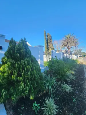 a garden with trees and plants in front of a building at Cape Dutch haven in Durbanville