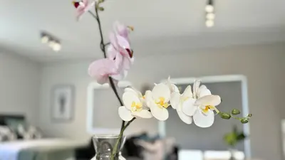 a vase filled with white and pink flowers on a table at Obs Centre The Lookout in Cape Town