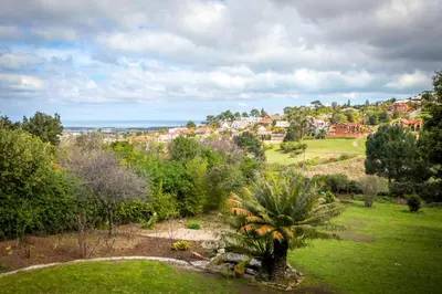 a view of a park with a palm tree at Winelands Villa Guesthouse and Cottages in Somerset West