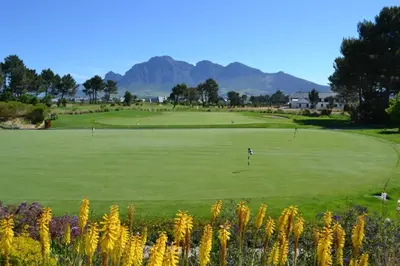 a person playing golf on a lush green field at Luxury Lodge TheView, Pearl Valley Golf Estate in Paarl