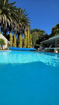 a large swimming pool with blue water and palm trees at Somerset West All Stay 4 in Somerset West