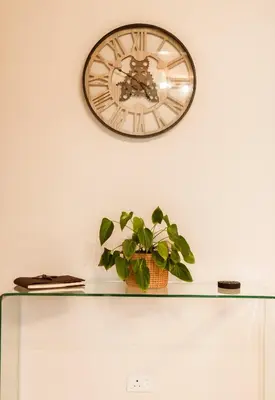 a clock on a wall above a glass shelf with a plant at Protea Garden Cottage in Stellenbosch